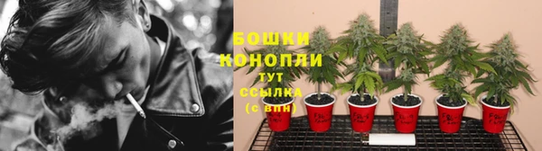 эйфоретик Новозыбков