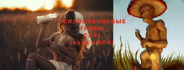 первитин Армянск