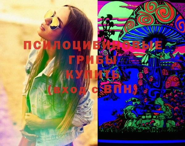 эйфоретик Новозыбков