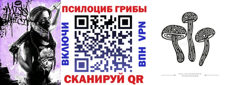 Галлюциногенные грибы прущие грибы  Купить закладки  Биробиджан 